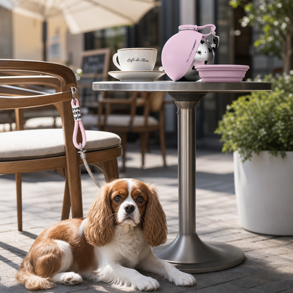 2-in-1 Dog Water Bottle